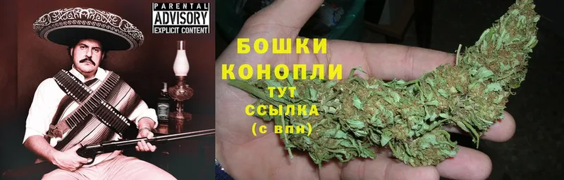 Бошки Шишки LSD WEED  цены наркотик  Красный Холм 